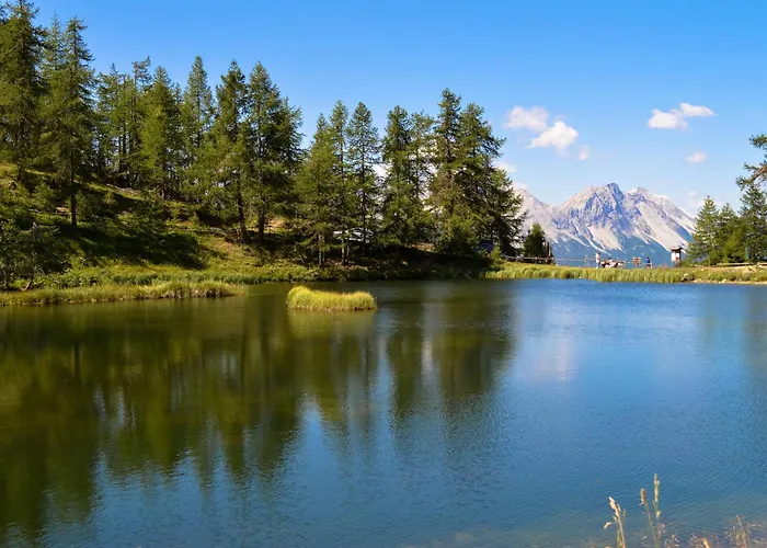 La Casa Di Dada - Happy أولكس